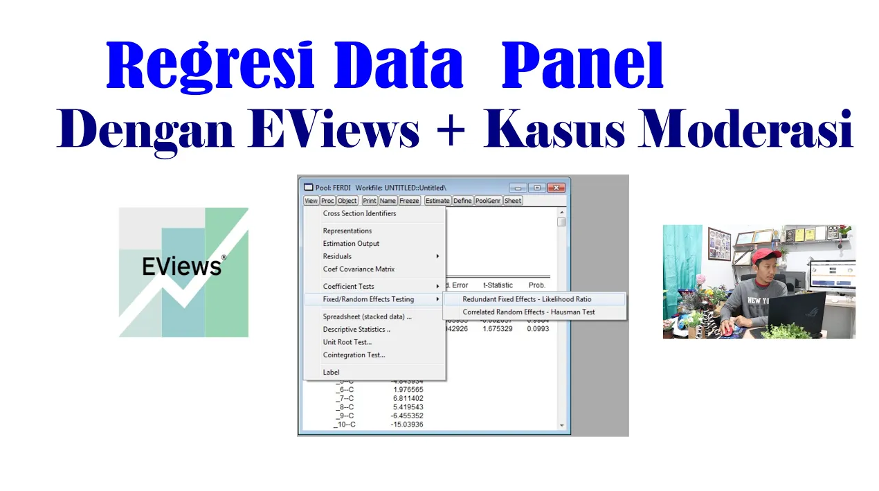 Panel Data Regression dengan EViews — Materi 1
